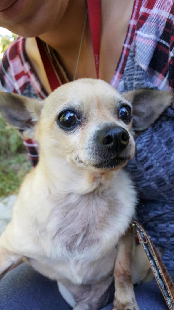 /Images/uploads/Humane Society of Utah/HSU2018/entries/4052thumb.jpg
